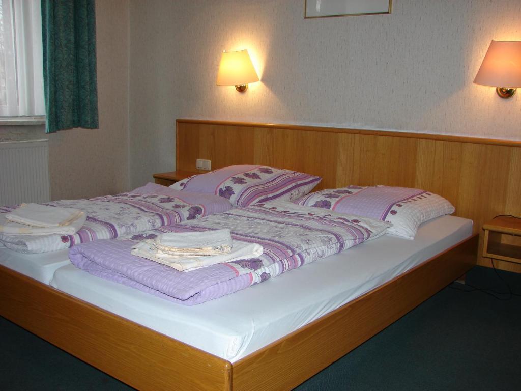 Hotel-Restaurant-Adler Reichenbach im Vogtland Phòng bức ảnh